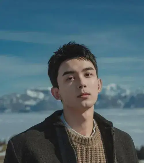 百度热点明星排名前十,_揭秘热度巅峰_2024年度百度男明星搜索指数榜单